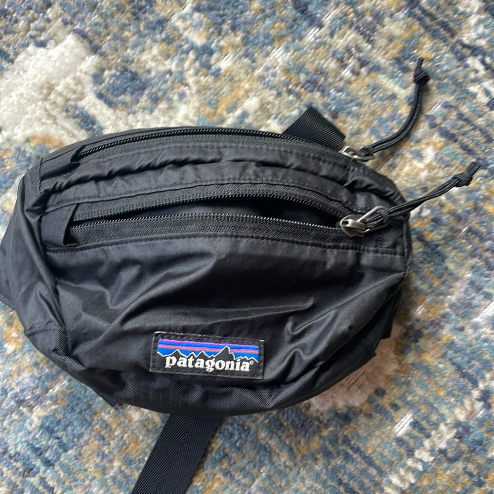 Patagonia lightweight travel mini hip pack
